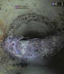 自走式カメラからの映像（管渠内に木の根が入り込んでいます。）